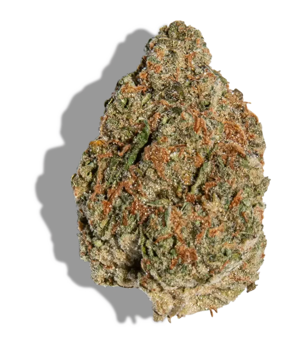Jenny Kush 3.5g